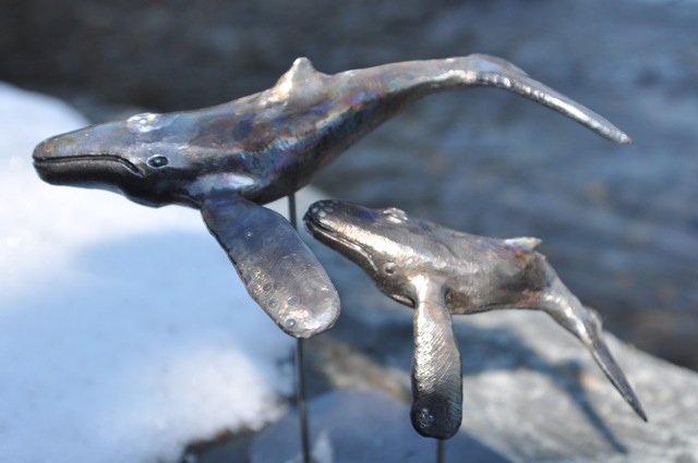 humpback whale and calf