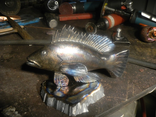 Black sea bass